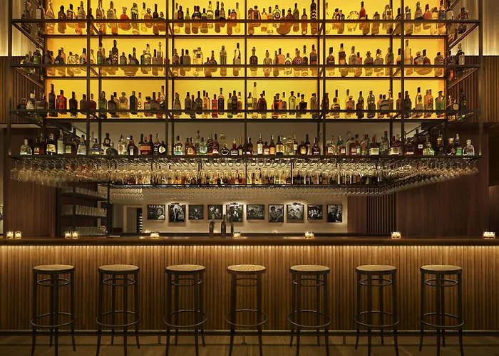 酒店 巴塞罗那艾迪逊酒店 5*